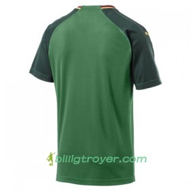 Billige Fotballdrakter Kamerun Hjemmedraktsett 2018